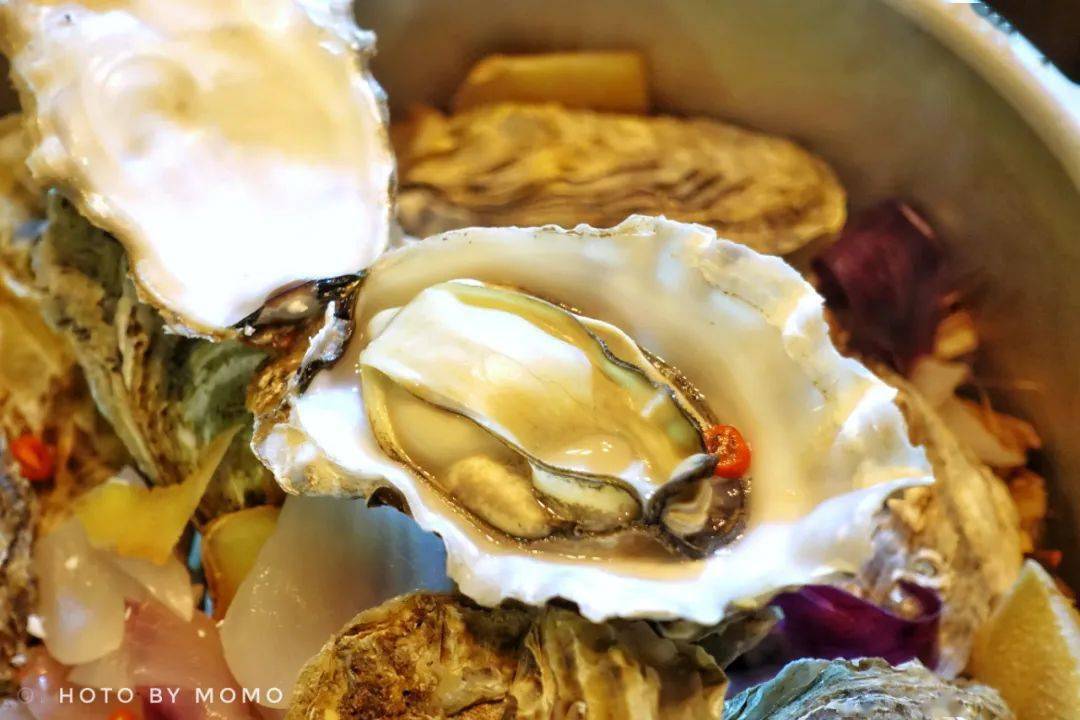 牡蠣片推薦！牡蠣片哪個(gè)牌子好？