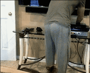 貓會發生什么，它們只是餓了想吃點東西.gif