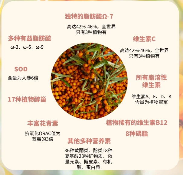 沙棘原漿帶來(lái)的不僅是新奇的味覺(jué)體驗(yàn)，更是一份健康的滋補(bǔ).png