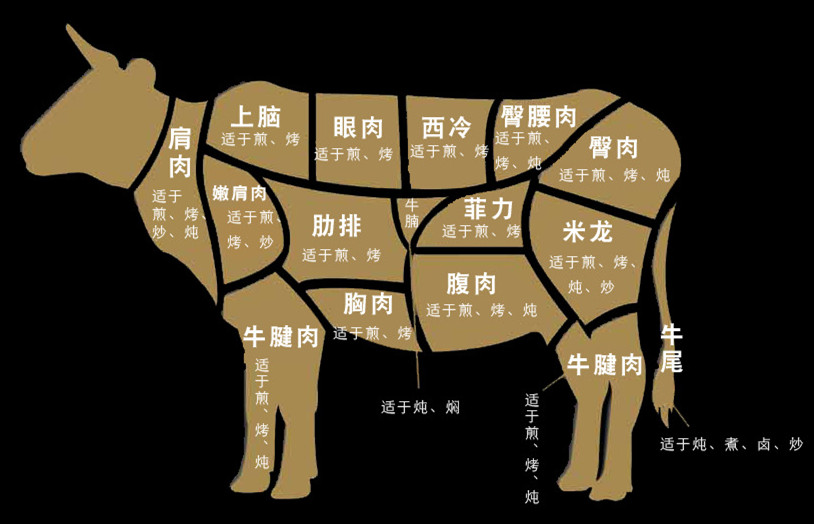 牛柳是牛的哪個部位？買牛肉哪個部分最嫩？