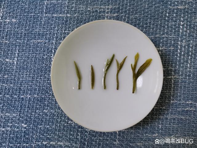 葉底.jpeg