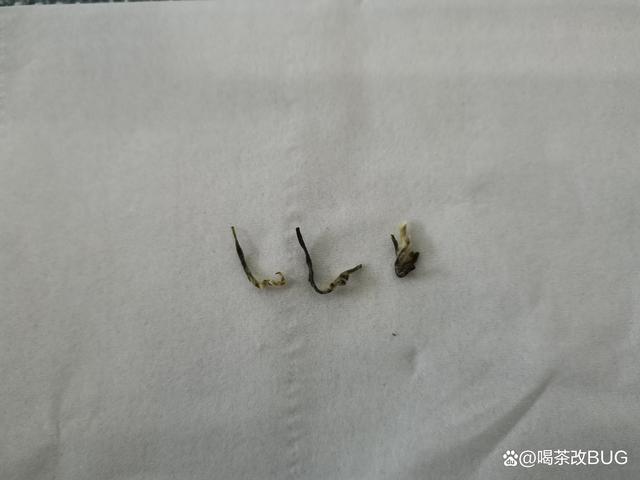 碧螺春的蜜蜂腿、滿身毛、銅絲條.jpeg